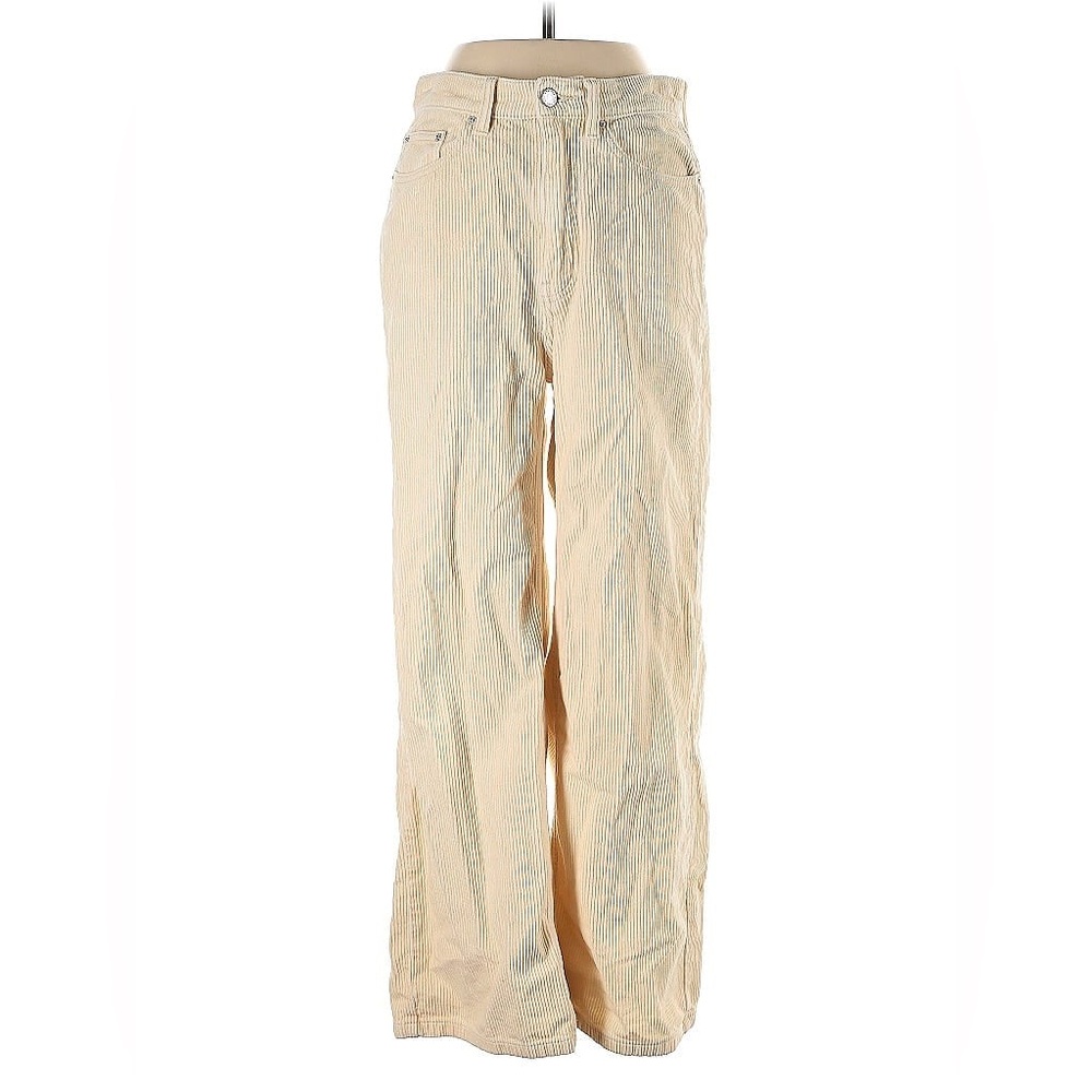 BDG corduroy paint
